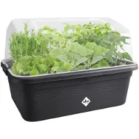Elho Green Basics Grow Garden Kweekhuis l - Deksel voor Kweekbak - 100% Gerecycled Plastic - 65.5 x 48.3 x 29.2 cm - Transparant