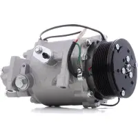 RIDEX 447K0452 Aircopomp