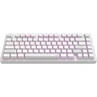 Dark Project ALU Terra Nostra R2 - Mechanisch Gaming Toetsenbord ANSI - Wit
