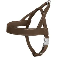 Hunter norweger hunting tuig voor hond bruin small