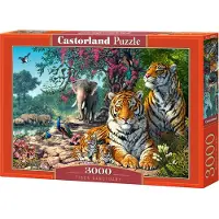 Castorland Tiger Sanctuary – Puzzel – 3.000 stukjes – Satijnen afwerking – Perfecte pasvorm – Europese kwaliteit