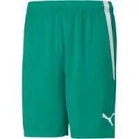 Puma teamLIGA Voetbalbroekje Groen Wit