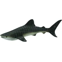 Collecta Zeedieren (XL): WALVISHAAI 23x11x6,5cm