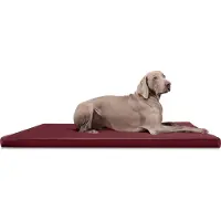 Tierlando CARLOS Ortho-Medic orthopedisch hondenbed, kunstleer, visco-materiaal - Matras - Afmetingen: 100x80 cm | Kleur: 04 Donkerrood