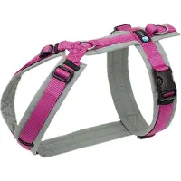 AnnyX Hondentuig - Y-tuig - Fuchsia/Grijs - maat S - Borstomvang 52-64cm