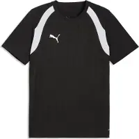Puma Trainingsshirt teamFINAL26 - Zwart/Wit