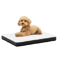 Avalo Orthopedisch Hondenkussen M - 76x51 cm - Traagschuim - Wasbare hoes - Antislip