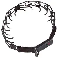 Sprenger Roestvrij Staal Ketting Met Slotstraf