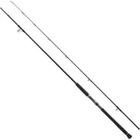 Shimano Fishing Xr S100m Spinning Rod Zilver 3.05 m / 56 g