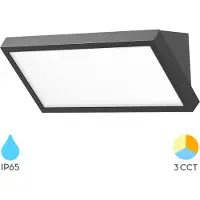 Braytron - LED Wandlamp buiten - 20W 2000lm - Lichtkleur verstelbaar - IP65