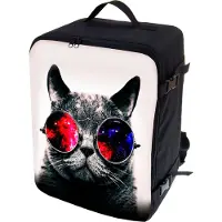 Ferocity - Handige rugzak voor op reis 40x25x20 cm Multifunctioneel - handbagage koffer - Polyester - Galaxy Kat Zonnebril