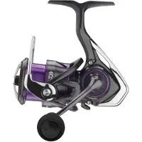 Daiwa Prorex V Lt 2022 Spinning Reel Zilver 4000CXH