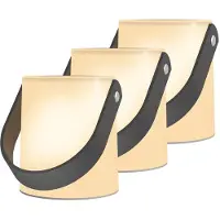 Calex Stedo Glazen Tafellamp - 3 stuks - Op Batterijen - Warm Licht