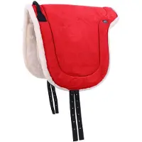 QHP Bareback pad Full