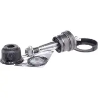 RIDEX 2462S0305 Fuseekogel