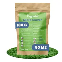Organifer - Microklaver Gazon - Zuiver klaverzaad (100 g voor 50 m2)