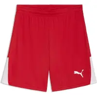 Puma Sportbroek 'TeamLiga26' rood / wit