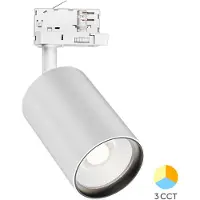 Braytron LED Railspot - Track Spot - - 3-Fase - 30W 2960lm 38D - Aanpasbare Lichtkleur CCT - Wit