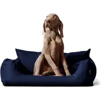Tierlando NEMO hondenbed, hondenbank, mand voor honden en katten, verkrijgbaar in de maten 65, 80 en 100 cm - Maat: 65x50 cm | Kleur: 25 Marineblauw (donkerblauw)