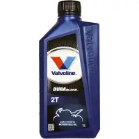 Valvoline 862010 Motorolie