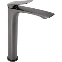 REA Wastafelkraan Avalon Titanium High