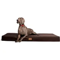 Tierlando hondenmatras HUGO BASIC, maten M, L, XL, XXL, van 80 tot 150 cm - Afmetingen: 150x100 cm | Kleur: 01 Bruin