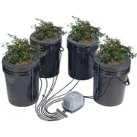 Vevor DWC Hydroponics Grow System