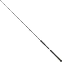 Daiwa Legalis Slow Jigging Rod Zilver 1.98 m / 250 g