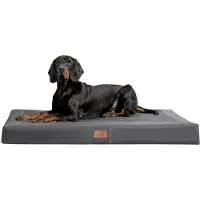 Tierlando OSCAR VISCO Orthopedisch hondenbed met kunstleer en velours - Afmetingen: 100x80 cm | Kleur: 02 Grafiet