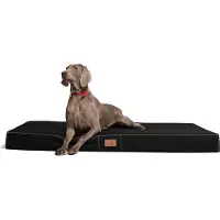 Tierlando hondenmatras HUGO BASIC, maten M, L, XL, XXL, van 80 tot 150 cm - Afmetingen: 80x60 cm | Kleur: 03 Zwart