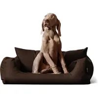 Tierlando NEMO hondenbed, hondenbank, mand voor honden en katten, verkrijgbaar in de maten 65, 80 en 100 cm - Maat: 100x80 cm | Kleur: 01 Bruin