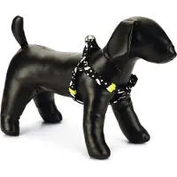 Beeztees Hondentuig Thunder Zwart 35-60 X 1,5 Cm