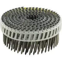 Tjep Spijker Rvs Bk Zwart Trommel 2.5X50 Rg A4 Rl 200 St