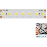 Beneito Faure - LED-strips voor de verlichting van de visafdeling - 5 meter spoel, 14,4 W/meter, 95 lm/W, IP20, 11.600 K