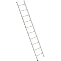 Euroline Enkele Rechte Ladder - 1x10 sporten