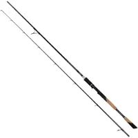 FOX Rage Tr Power Shad Spinning Rod Zilver 2.40 m / 30-80 g