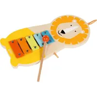 Gollnest & Kiesel Xylofoon - Leeuw - 12,5X25,5X1,6Cm - Spelend Leren - 1 Jaar