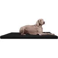 Tierlando CARLOS Ortho-Medic orthopedisch hondenbed, kunstleer, visco-materiaal - Matras - Afmetingen: 150x100 cm | Kleur: 03 Zwart
