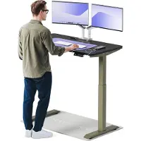 Desktronic HomeOne Zit-sta Bureau Elektrisch In Hoogte Verstelbaar, 120x60 cm Groente/Zwart, Stille Dubbele Motor, Hoogte 72-119cm
