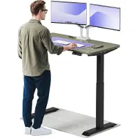 Desktronic HomeOne Zit-sta Bureau Elektrisch In Hoogte Verstelbaar, 120x60 cm Zwart/Groente, Stille Dubbele Motor, Hoogte 72-119cm