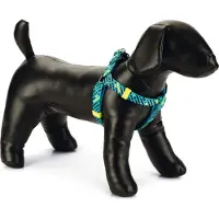 Beeztees Hondentuig Memphis Blauw 35-60 X 1,5 Cm