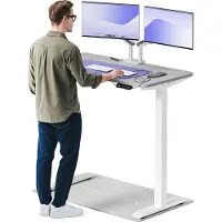 Desktronic HomeOne Zit-sta Bureau Elektrisch In Hoogte Verstelbaar, 120x60cm, Wit/Grijs, Stille Dubbele Motor, Hoogte 72-119cm