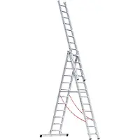 Euroline Rechte Ladder - Driedelig - 3x12 sporten