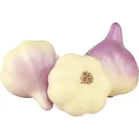 Viana Groentedecoratie knoflook geel paars in het net Ø4,5cm 12 stuks, 12 St