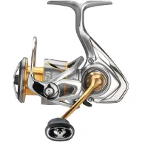 Daiwa Freams LT 21 2000D