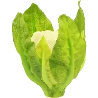 Viana Kunstbloemkool groentedecoratie wit groen Ø9cm H15cm