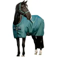 Horseware Ripstop 900D Turnout 100g Dynasty Groen/Navy & Zilver 145