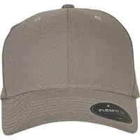Flexfit Pet greige
