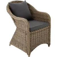 TecTake - Luxe wicker tuinstoel + kussen - Gemonteerd geleverd - natuur / beige- 401766