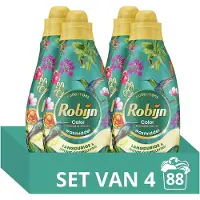 Robijn Klein & Krachtig Collections Vloeibaar Wasmiddel - Color Paradise Secret - 4 x 22 wasbeurten - Voordeelverpakking